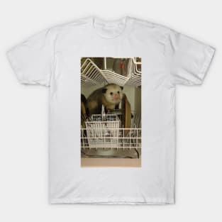 Dishwasher Possum T-Shirt